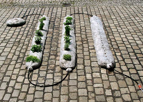 Manual for CITY FARMING PLANT MODULES